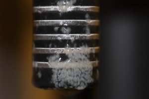 Biofilm growing on a BioSense Biofilm Sensor