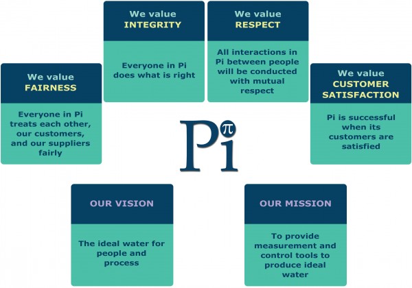 Process Instruments Values